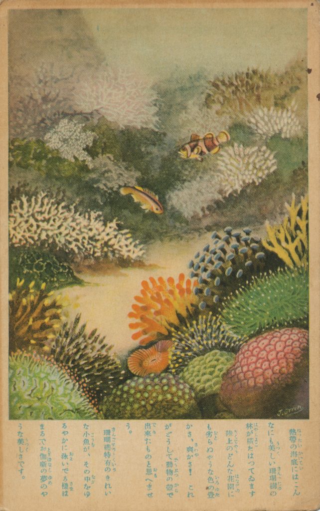 サンゴ礁のイラスト(Illustration of a coral reef)